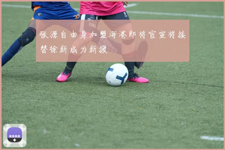 张源自由身加盟海港即将官宣将接替徐新成为新援