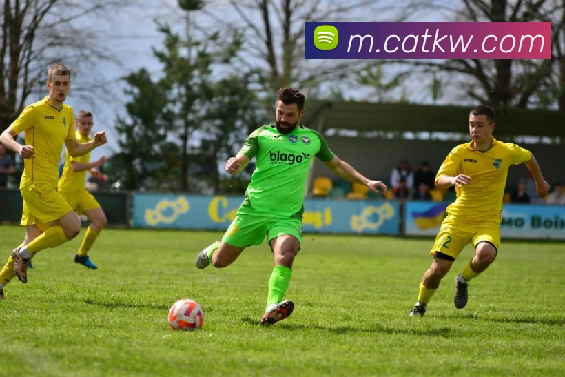 华体会体育平台生态图