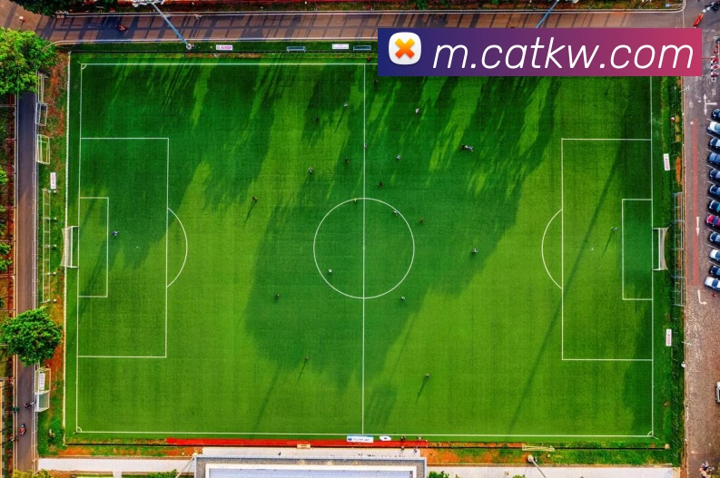 数据防护可视化